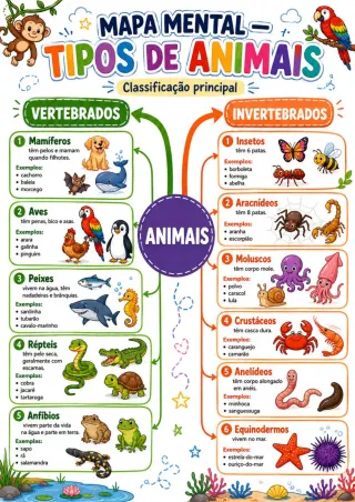 Capa de Animais Conceitos E Atividades 1